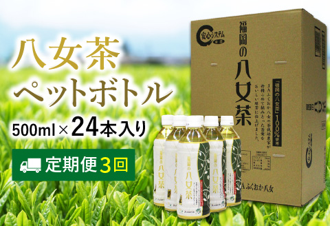 【D5-029】八女茶 煎茶ペットボトル 500ml×24本 【3カ月定期便】