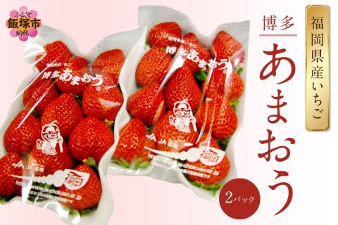 【A5-526】福岡県特産！『あまおう』＜2026年1月から発送開始分先行予約＞