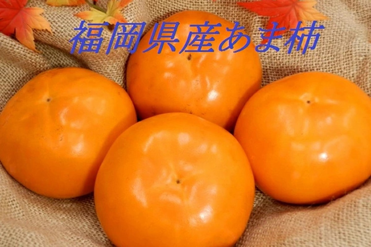 【B-211】青果市場厳選 「冷蔵」あま柿＜2026年1月から発送開始分先行予約＞
