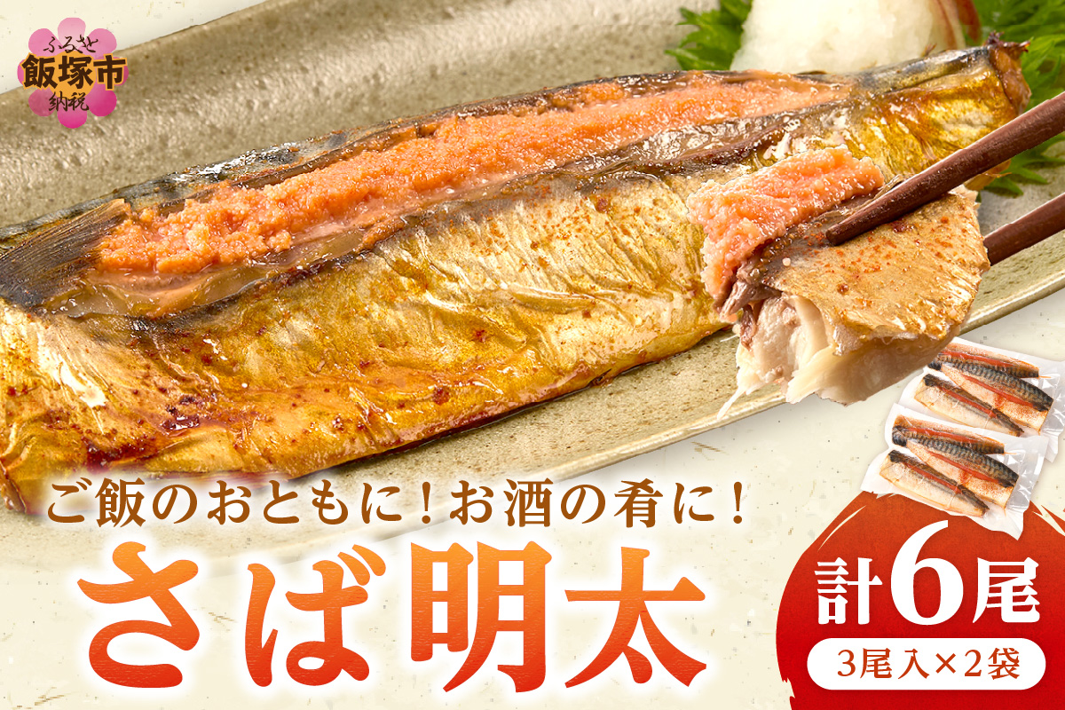 【A6-034】さば明太 6尾