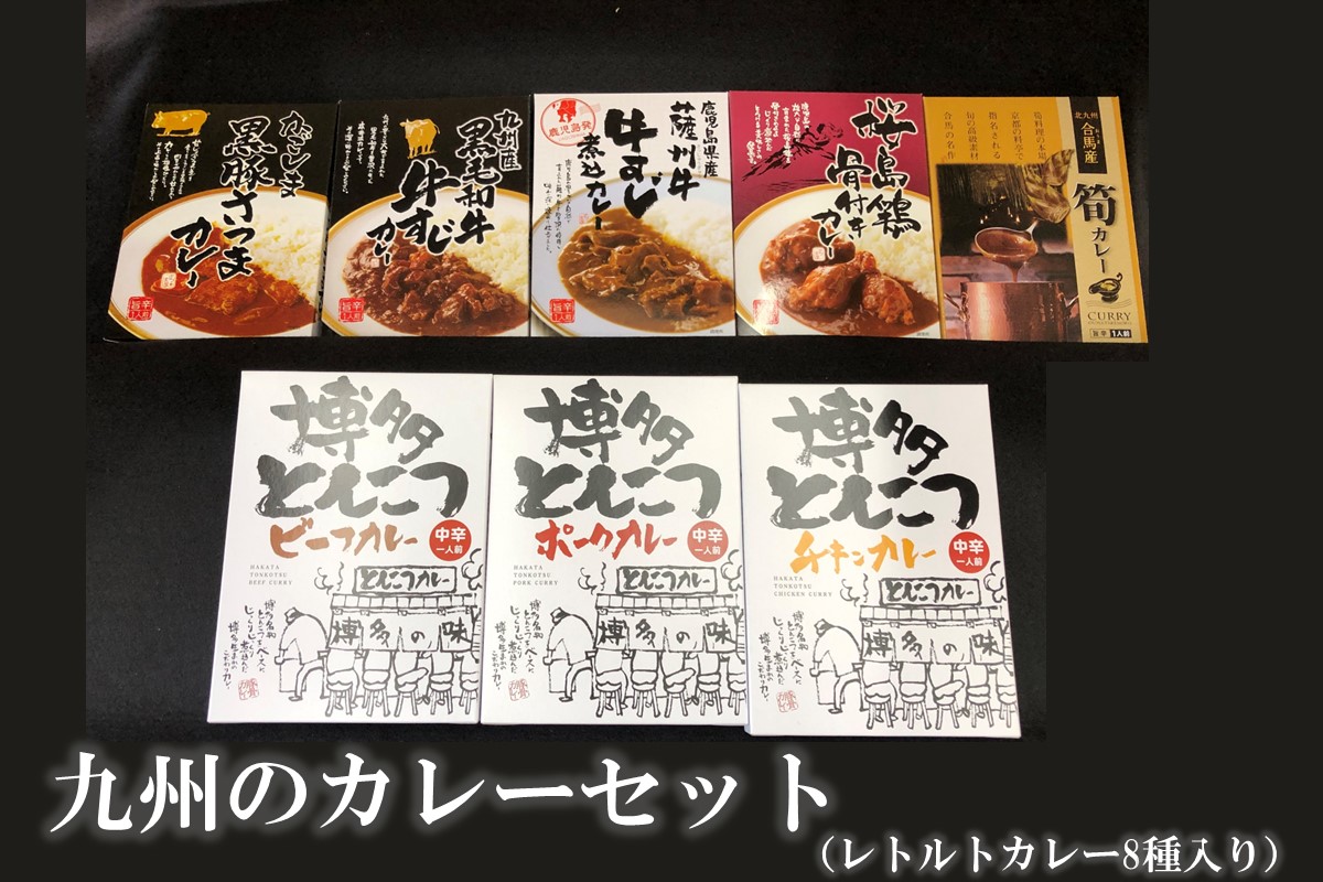 【B-177】九州のカレーセット(レトルトカレー8食入り)