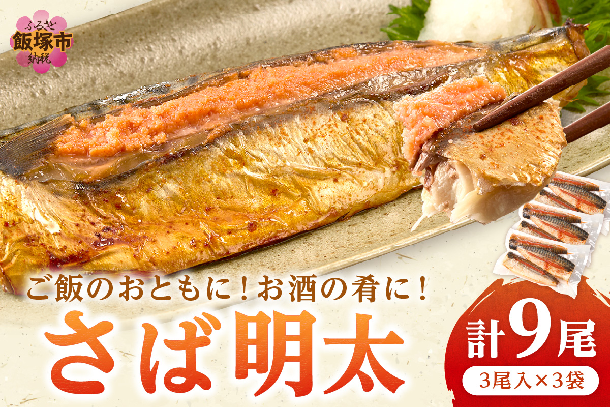 【B4-043】さば明太 9尾