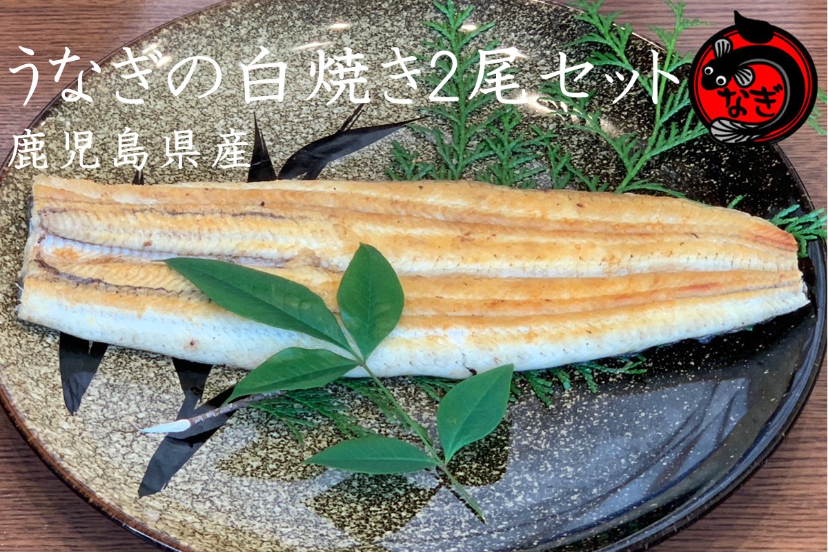 【B7-033】鹿児島産うなぎの白焼き2尾セット