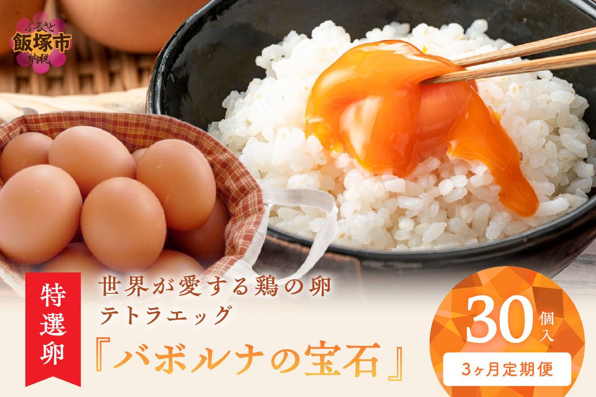 【B9-009】テトラエッグ特選卵『バボルナの宝石』（30個/月）【3カ月定期便】