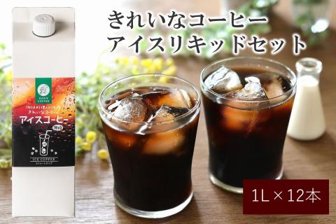 【C8-013】★特許製法★きれいなコーヒーアイスリキッドセット12本