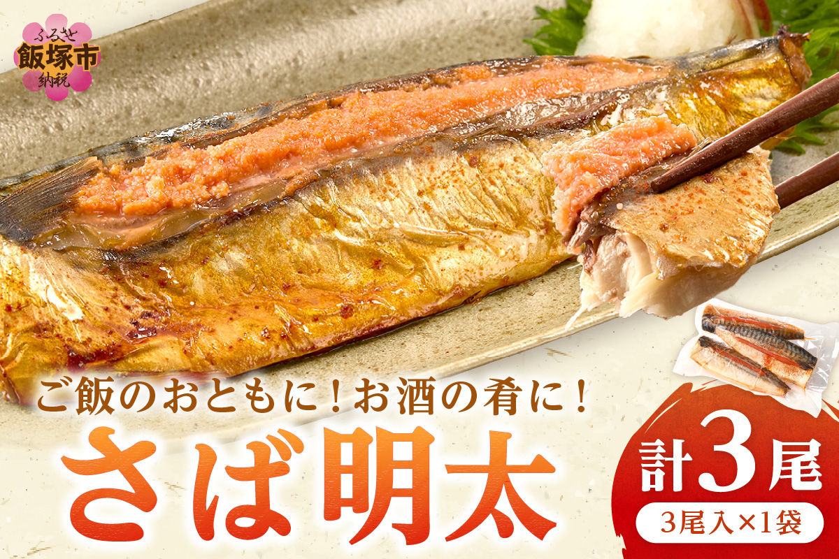 【Z9-021】さば明太 3尾