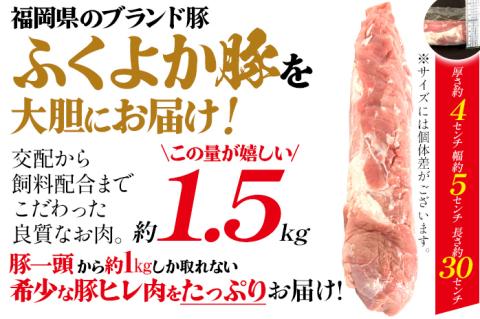 ふくよか豚ヒレブロック約1.5kg 豚ヒレブロック 約1.5kg(約500g×3) 豚ヒレブロック肉 豚ヒレ ヒレ ブロック 希少 ふくよか豚 ヒレステーキ ヒレカツ とんかつ フィレ 焼き肉 豚肉