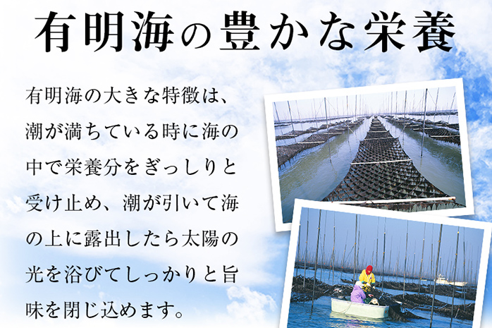 有明のり】有明海苔 味海苔 大丸ボトル 8切80枚 6本セット 福岡有明のり 海苔 お取り寄せグルメ お取り寄せ 福岡 お土産 九州 ご当地グルメ  福岡土産 取り寄せ 福岡県 食品: 田川市ANAのふるさと納税