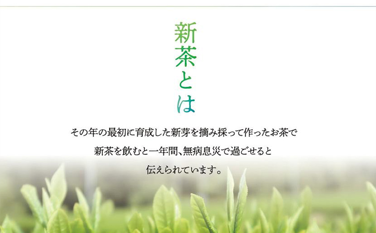 【予約返礼品/2025年5月以降順次発送】新茶 八女星野茶 100g×3本 緑茶 八女茶 お茶 茶葉 セット お取り寄せグルメ お取り寄せ 福岡 お土産 九州 福岡土産 取り寄せ グルメ 福岡県