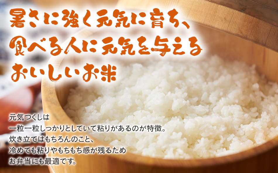 「原田さんちのお米」元気つくし5kg お取り寄せグルメ お取り寄せ 福岡 お土産 九州 ご当地グルメ 福岡土産 取り寄せ 福岡県 食品