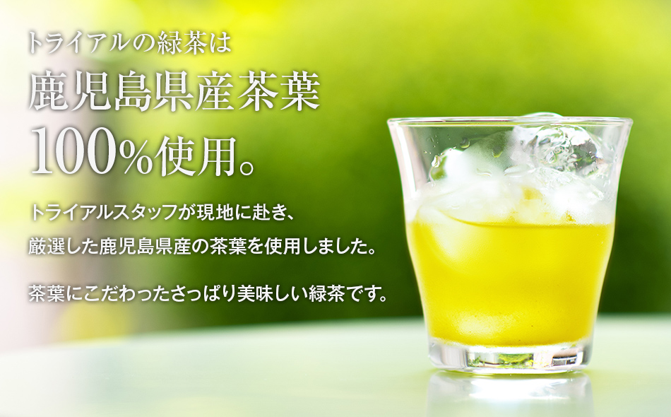 トライアルのお茶満載セット（緑2L×6本・烏龍2L×6本・緑500ml×24本） ペットボトル
