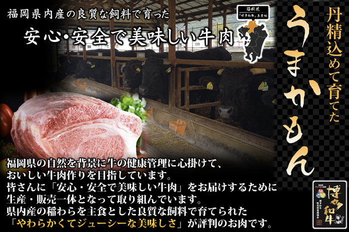 博多和牛肩ロース焼肉用400g