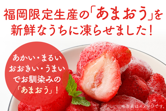 福岡県産【博多冷凍あまおう】 約1kg 産地直送 産直 朝採れ 朝採り 新鮮 瞬間冷凍 いちご イチゴ 苺 お取り寄せグルメ お取り寄せ 福岡 お土産 九州 福岡土産 取り寄せ グルメ 福岡県 ※北海道・沖縄・離島は配送不可