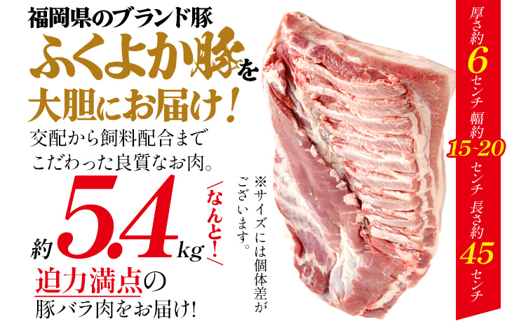 ふくよか豚肉 バラブロック 約5.4kg