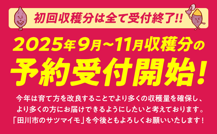 先行予約 訳あり 紅はるか 熟成 紅はるか 5kg さつまいも 4000円 芋 サツマイモ 土付き サイズ色々 サイズ不揃い 九州産 焼き芋 やきいも 甘い デザート スイートポテト 生芋 おやつ デザート 野菜 いも