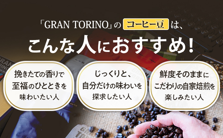 GRAN TORINO 200g×3種類 コーヒー 豆 モカ トラッドブレンド マンデリン 3種 飲み比べ セット 計600g 自家焙煎 珈琲豆 ドリンク 飲料 福岡県 福岡 九州 お取り寄せ