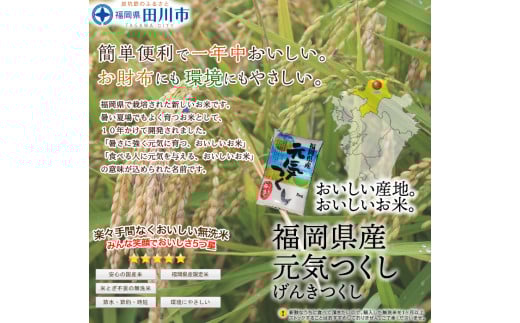 福岡県産元気つくし 無洗米 10kg(5kg×2)