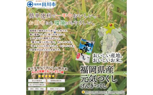 福岡県産元気つくし 無洗米 25kg(5kg×5)