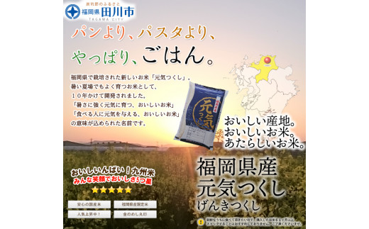 福岡県産元気つくし 25kg(5kg×5)