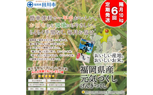 【定期便/隔月】福岡県産元気つくし 無洗米 10kg×6回 お取り寄せグルメ　お取り寄せ 福岡 お土産 九州 ご当地グルメ 福岡土産 取り寄せ グルメ 福岡県 食品