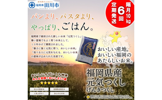 【定期便/隔月】福岡県産元気つくし 10kg×6回 お取り寄せグルメ　お取り寄せ 福岡 お土産 九州 ご当地グルメ 福岡土産 取り寄せ グルメ 福岡県 食品