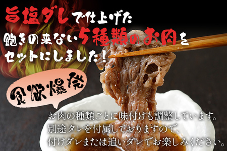 お肉食べ比べセット 2kg（400g×5パック）