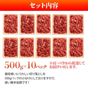 訳アリ！博多和牛切り落とし　5kg(500ｇ×10ｐ）