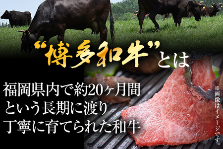 訳あり！博多和牛焼肉切り落とし　1ｋｇ（500ｇ×2ｐ）