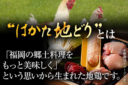 はかた地鶏モモムネセット2ｋｇ（1ｋｇ×2ｐ）