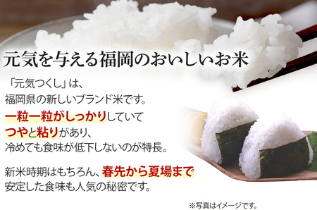 令和7年産　福岡県産ブランド米「元気つくし」無洗米　5kg【11月下旬頃より順次出荷予定】