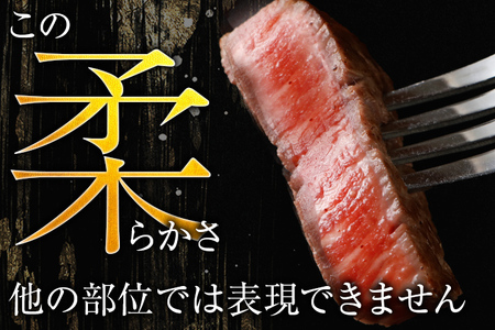 博多和牛シャトーブリアン　480g