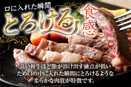 博多和牛　サーロインステーキ　750g