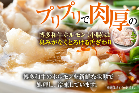 博多和牛もつ鍋用 ホルモン500g