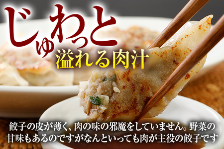 博多和牛 手作り餃子　20個×4パック