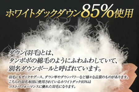 洗える 高級 羽毛布団 シングルサイズ ブルー