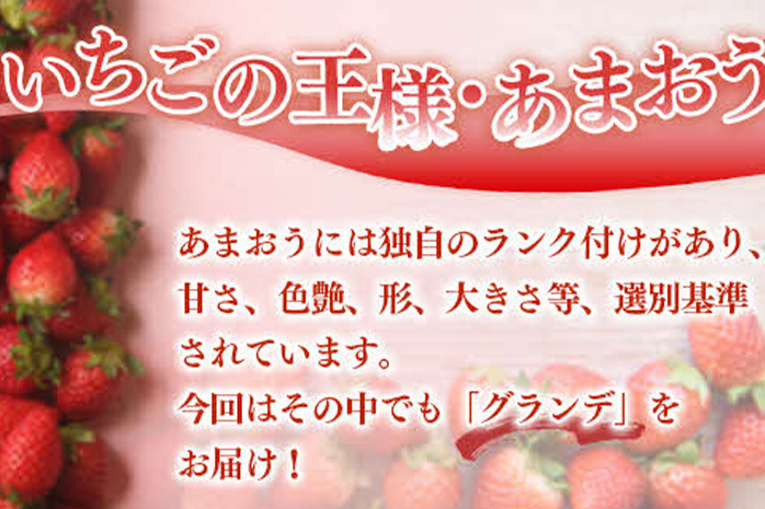 福岡県産 あまおう 1000g （250g×4パック） いちご 1月中発送 いちご 苺 フルーツ 果物 くだもの 大粒Gサイズ グランデ 農家直送 大粒 不揃い 福岡県 福岡 九州 グルメ お取り寄せ