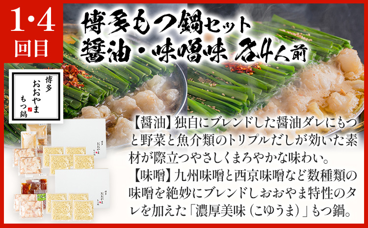  鍋大容量定期便【隔月定期便（年6回発送）】 水炊き モツ鍋 もつ鍋セット モツ鍋セット ありた鶏 もつなべ 醤油 しょうゆ 味噌 みそ ちゃんぽん 博多 専門店 3人前 4人前 福岡県 福岡 九州 グルメ お取り寄せ