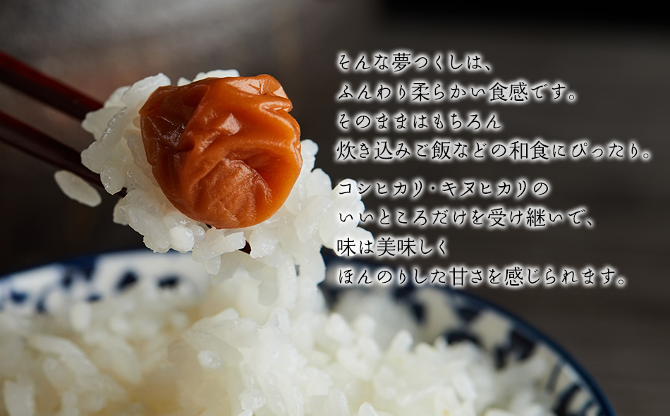 「原田さんちのお米」夢つくし5kg