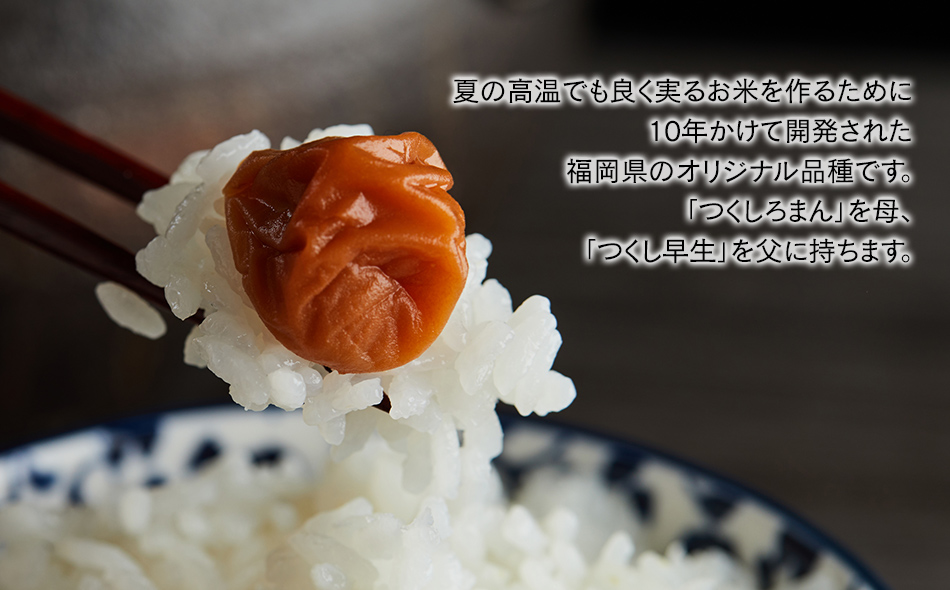 「原田さんちのお米」元気つくし5kg お取り寄せグルメ お取り寄せ 福岡 お土産 九州 ご当地グルメ 福岡土産 取り寄せ 福岡県 食品