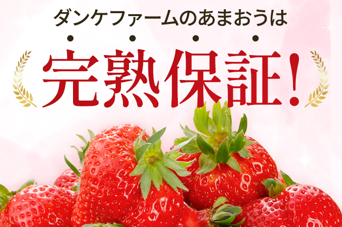 いちご あまおう 約1100g（約275g×4パック） 【先行受付／2026年3月下旬以降順次発送予定】