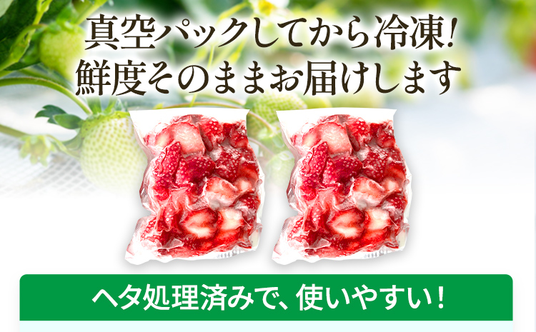いちご あまおう 博多あまおう 暖家の冷凍いちご 苺 フルーツ 果物 くだもの 500g×2袋 1000g 1kg 冷凍あまおう 入賞 真空パック ヘタ処理済み IPM 福岡県 福岡 九州 グルメ お取り寄せ
