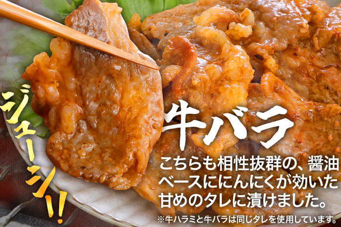 牛 豚 味付け焼肉セット 2.4kg