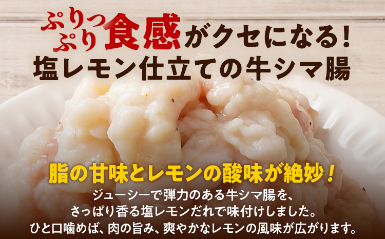 牛肉 ホルモン シマチョウ シマ腸 しま腸 味付け牛ホルモン 2.5kg 味付き 味付き肉レモン 塩レモン 塩レモンだれ 冷凍 簡単調理 惣菜 おかず おつまみ 酒のつまみ 酒の肴