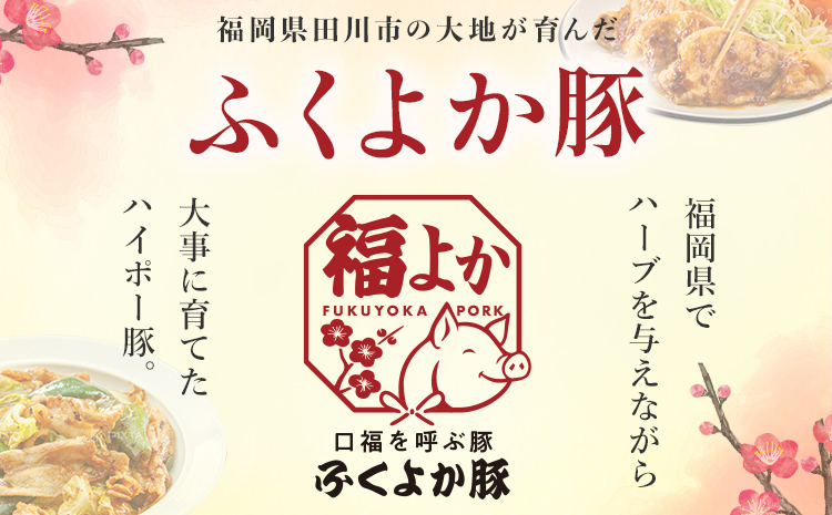 豚肉 ふくよか豚 切り落とし 2.5kg（250g×10パック） モモ ウデ モモ肉 ウデ肉 小分け 真空パック ブタ肉 ぶた肉 生姜焼き 焼きそば 豚汁 冷凍 福岡県 福岡 九州 グルメ お取り寄せ