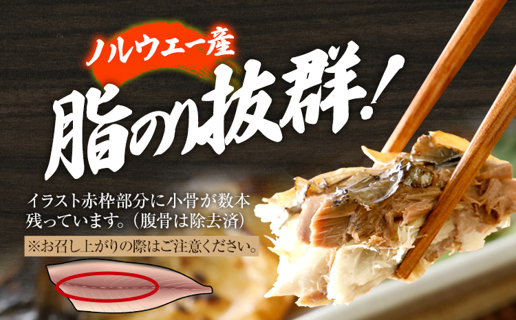 お試し さば 塩サバ 塩焼鯖6枚 大ぶり 調理済 レンチン 温めるだけ 脂のり 惣菜 晩御飯 おかず ジューシー 冷凍 お弁当 レンジ調理 サバ 自社製造 朝ごはん 和食 簡単調理 アレンジ 塩焼き
