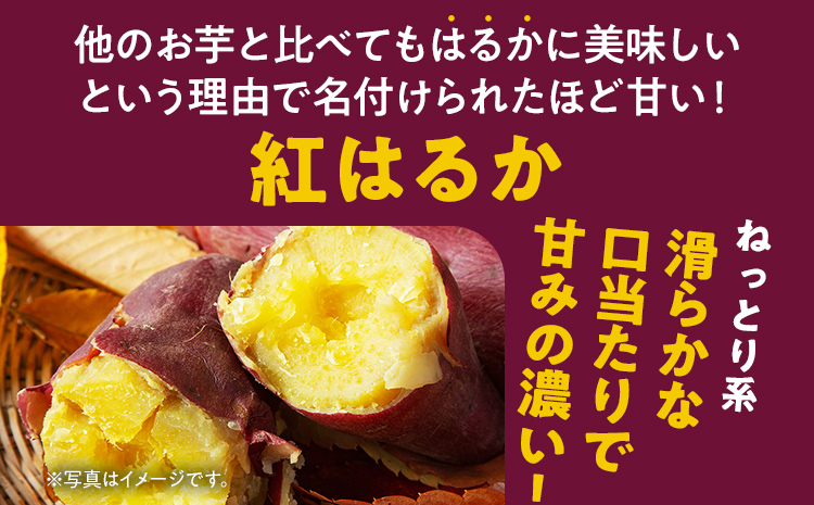 先行予約 訳あり 紅はるか 熟成 紅はるか 5kg さつまいも 4000円 芋 サツマイモ 土付き サイズ色々 サイズ不揃い 九州産 焼き芋 やきいも 甘い デザート スイートポテト 生芋 おやつ デザート 野菜 いも