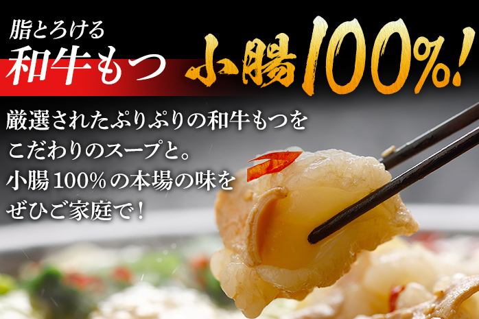 訳あり もつ鍋 醤油味 10人前 国産牛小腸