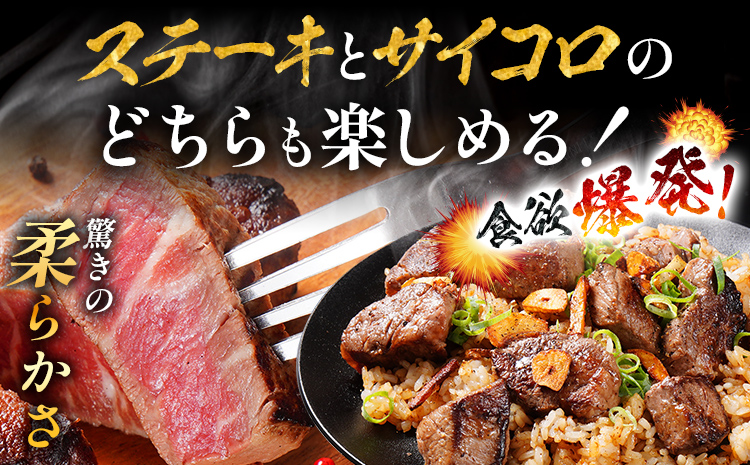 九州産黒毛和牛 ヒレステーキ 旨味仕立て 1.2kg 国産 黒毛和牛 和牛 肉 ヒレ ステーキ サイコロ 冷凍 味付け肉 福岡 九州 グルメ