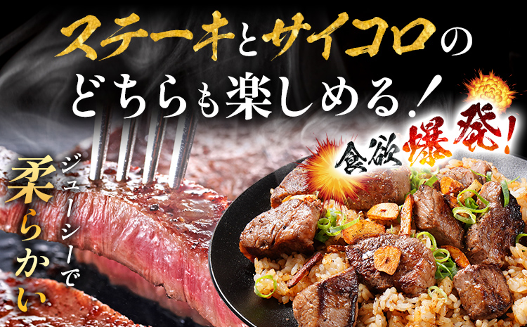 九州産黒毛和牛 サーロインステーキ 旨味仕立て 400g 国産 黒毛和牛 和牛 肉 サーロイン ステーキ サイコロ 冷凍 味付け肉 福岡 九州 グルメ