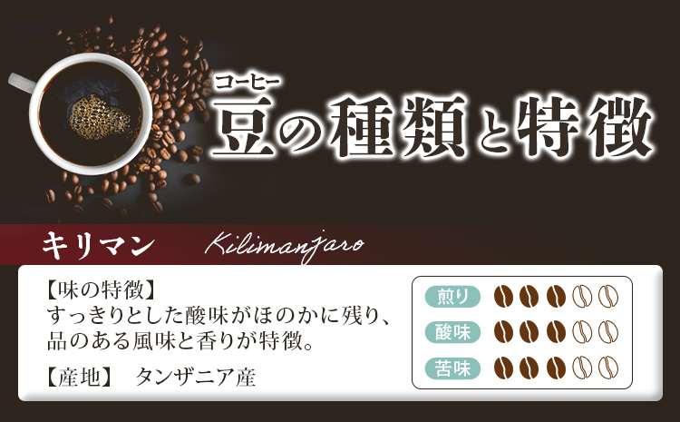 GRAN TORINO ドリップパック 3種類×5袋 （全15袋） キリマン トラッドブレンド グアテマラ 3種飲み比べ セット 自家焙煎 珈琲 ドリンク 飲料 福岡県 福岡 九州 お取り寄せ